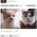 공감 이미지