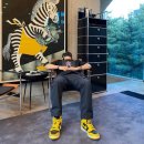 더하기약국 | 뉴트리코어 알부민 성분 효능 먹는법 내돈내산 후기