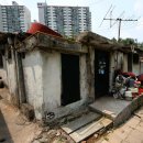 밤골약국 이미지