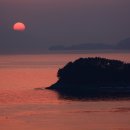 한물결의원 Daum카페