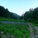 계룡산농장