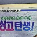 금성광고 - 원주시 | 금성광고