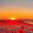 행복한하루 이미지