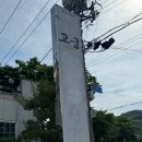 고궁삼계탕 | 여름 보양식은 여기서! 울산 고궁영양탕삼계탕 방문 후기