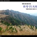 화왕산산림욕장 이미지