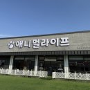아이라이프존 | 충북 동물원 추천 아이들과 가볼만한 애니멀 라이프 방문 후기