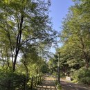 유수지공원주차장 화장실 | 용인ㅣ기흥호수공원 초보러닝후기 주차장 화장실 정보