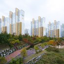 화정천1 티스토리
