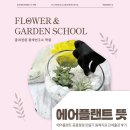 자연과식물원예연구소 | 에어플랜트 뜻 | 에어플랜트 공중정원 만들기 원예치료 단체출강 후기