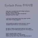 [예쁠연]울산 중구 속눈썹펌 추천/주차/ 기본카메라후기