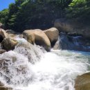 영해농장 이미지