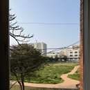 제주돌막창 | 봄날의 제주에서