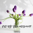로사약국 이미지