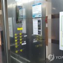 능수정 이미지