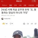 😡화력요청😡 😡화력요청😡 [속보] 서해 피살 공무원 유족 "文, 행동하는 양심이 아니라 거짓 😡화력요청😡 😡화력요청 이미지