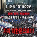 2019년 3월 1일 3.1운동 "축" 100주년(자랑스런 대한민국 바로세우자!) 이미지