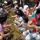 대마1리 이미지