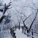 청담동 말자싸롱 이미지