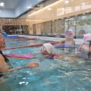 키즈웨일즈 이미지