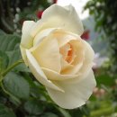 성서도서관 이미지