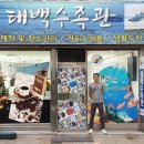 태백수족관 이미지