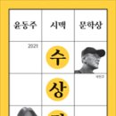 시맥 이미지