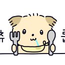 강아지에 빠지다 이미지