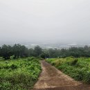 제주 모슬봉 일제군사시설 이미지