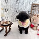 플레이멍 이미지