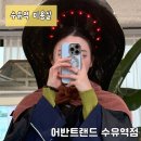 크리스탈 반려견미용실 | 수유역미용실| 어반트랜드헤어에서 무코타 클리닉 후기(지아디자이너)