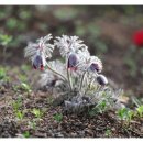 우정체육관 이미지