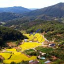 전원락농장 이미지