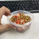 봄 봄 봄 🌸 봄이 갔네요 벌써... | 4월 일상 Blog