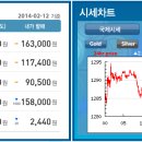 골드쉘화정