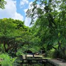 서산다님길협동조합 이미지