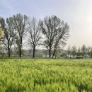 다래목장 이미지