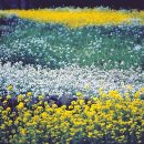 제주의사계 이미지