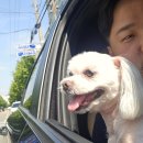 댕이샤워 이미지