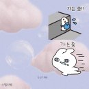 쌤꽈배기도넛&커피