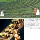 윤덕경 무용단 이미지