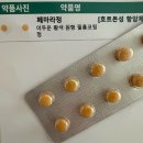[임신준비] Part 4. 배란 유도제 처방