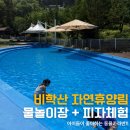 비학산자연휴양림 | 포항 비학산 자연휴양림 물놀이장 , 고양이카라반, 피자체험 다 즐길수 있어요