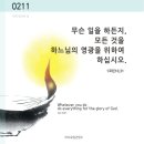 ⛪️ 연중 제6주일(세계 병자의 날) 이미지