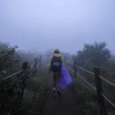 (주)민하산업 | 천성산 등산코스( 원효암 코스 ) 민쥬쥬 천성산을 걷다❤️
