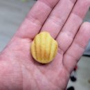 (주)이마트 왕십리점 | 이마트 왕십리점 반려동물 용품, 먹거리 코너 리뷰