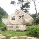 벌재농장 네이버블로그