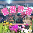 용광반점