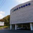 보호수광장 | 보은 :: 사라지지 않는 뿌리, 농업의 힘을 느껴보는 보은군 농경문화관