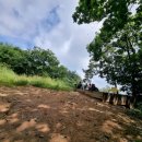 원창1리 이미지