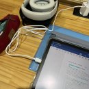 영인동물병원 | 돌아가자...